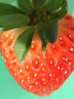 Acidic foods like strawberries may cause canker sores